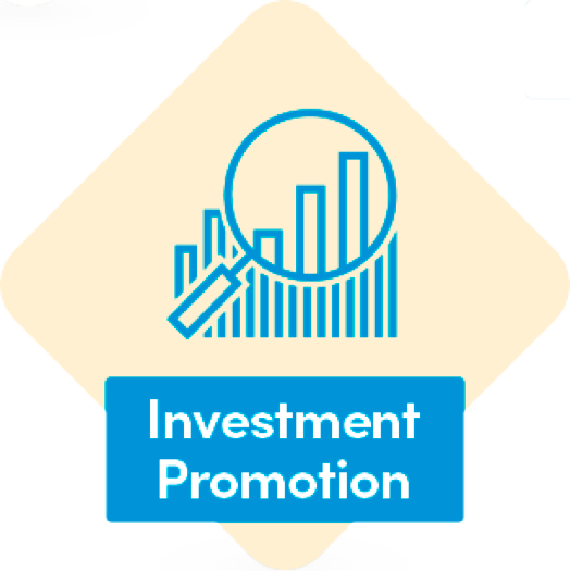 A dimond shaped icon showing the phrase Investment Promotion and a graph with magnifying glass icon