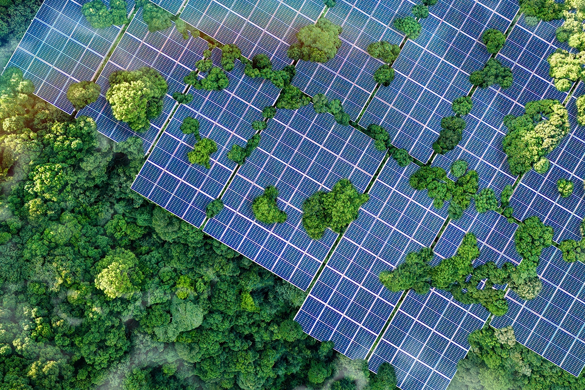 Solar panels constructed surrounded by thick forests.